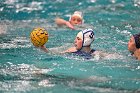 WWPolo @ CC  Wheaton College Women’s Water Polo at Connecticut College. - Photo By: KEITH NORDSTROM : Wheaton, water polo